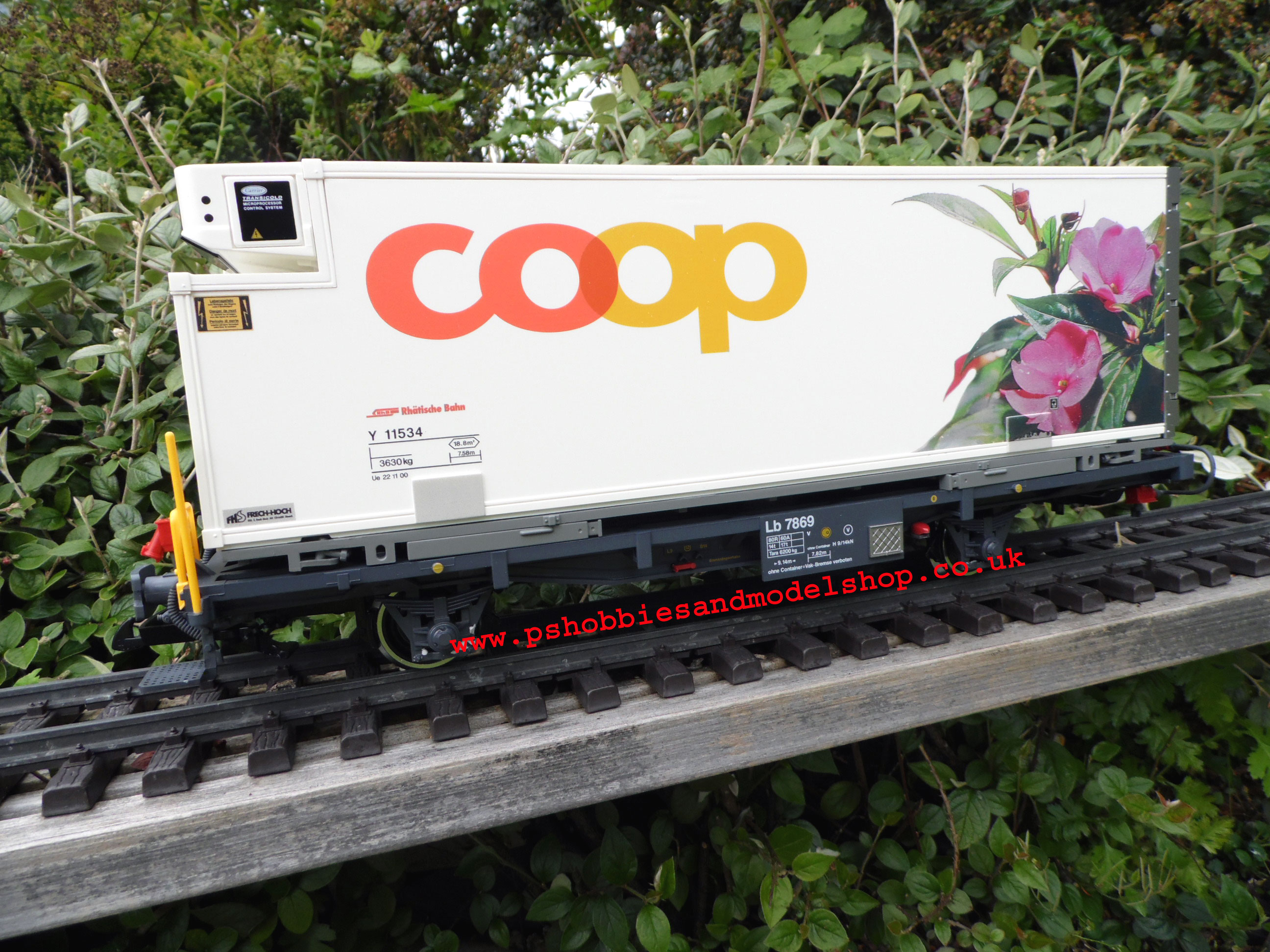 LGB 45885 Coop Twin Pack Edellieschen & Schefflera