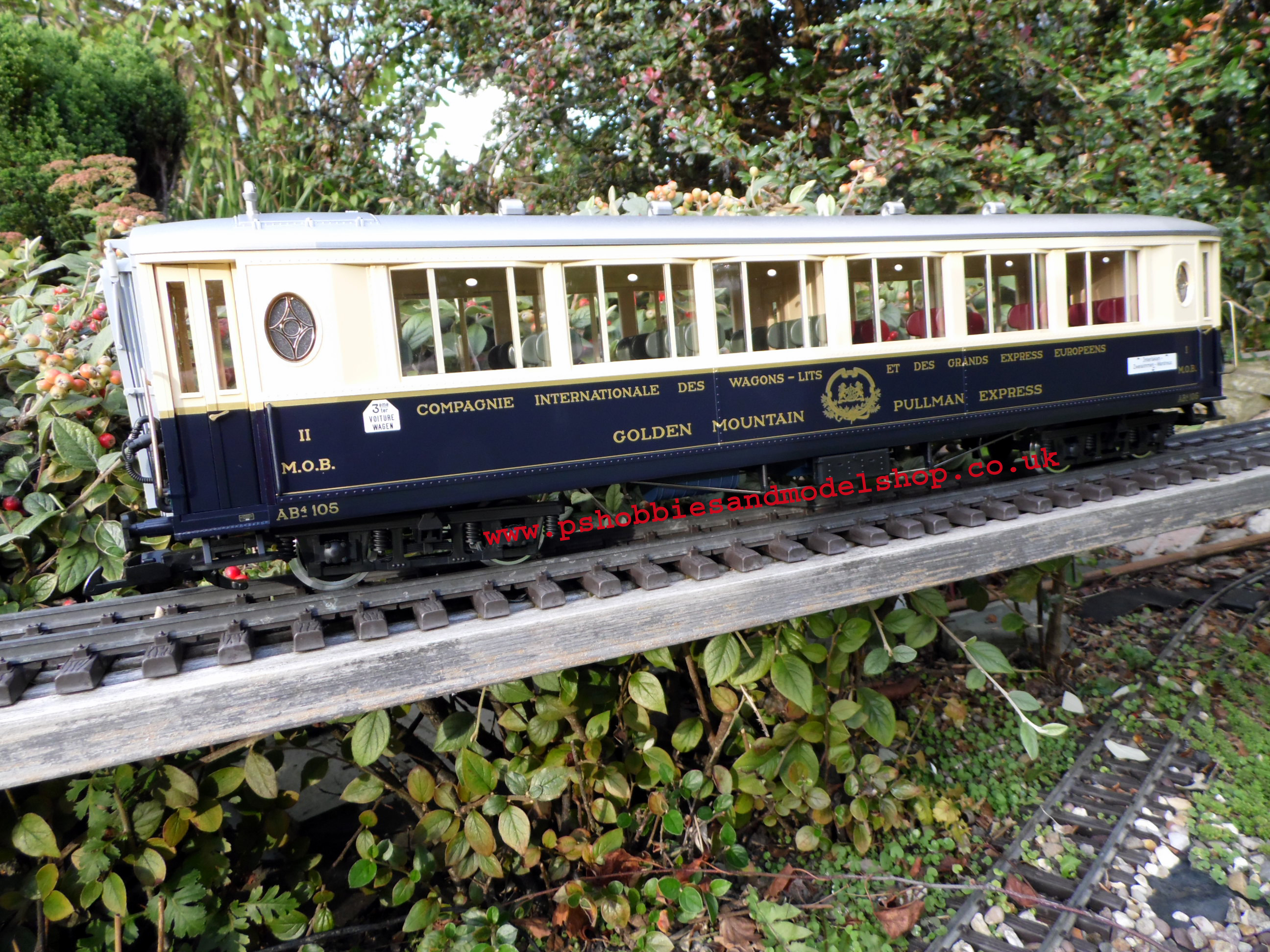 LGB 36661 Golden Mountain Twin Car set 2