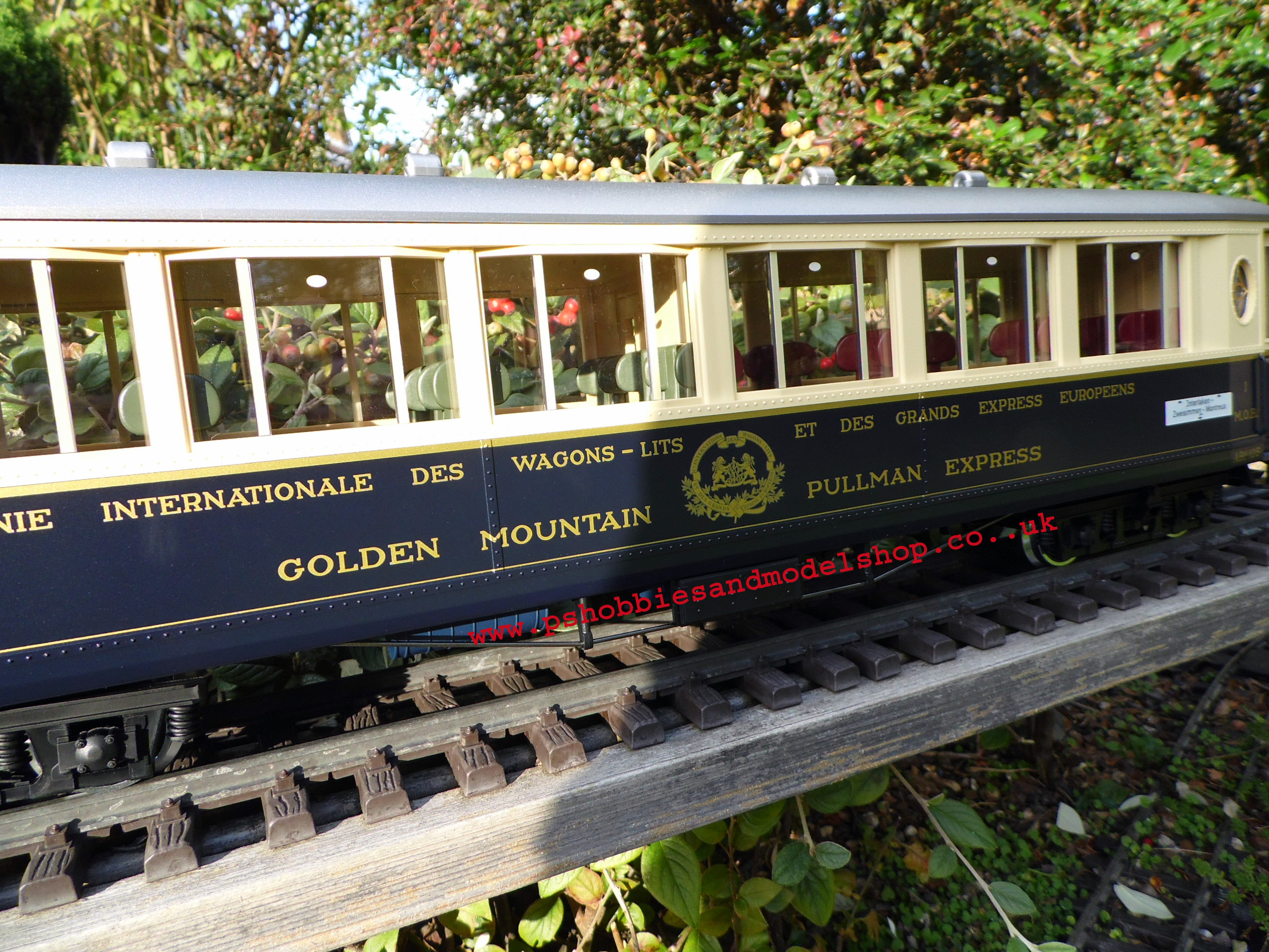 LGB 36661 Golden Mountain Twin Car set 2